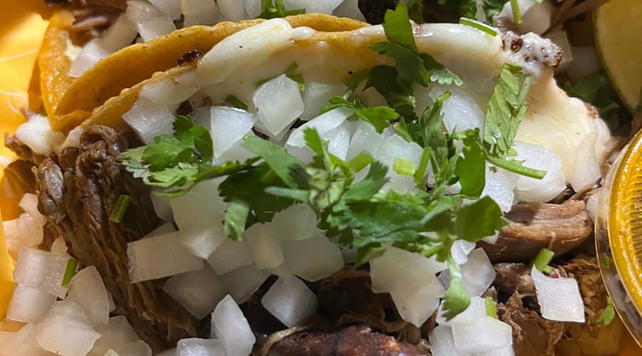 Close-up of a fresh taco with onion, cilantro and salsa